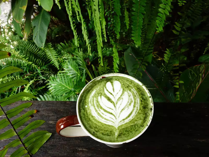 Green Coffee Drink