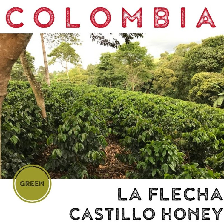 Colombia Green Coffee Bean-06