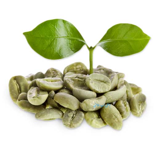 Vietnam Green Coffee Bean-07