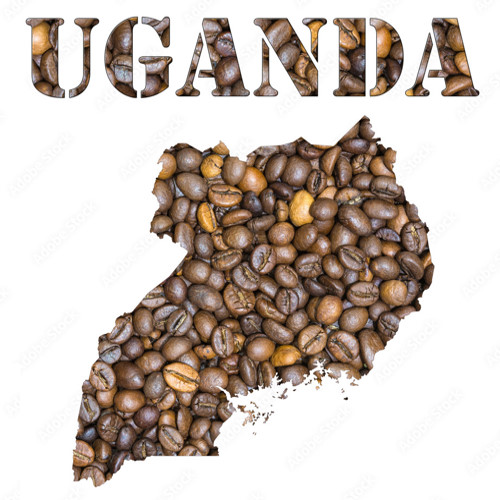 Uganda Coffee