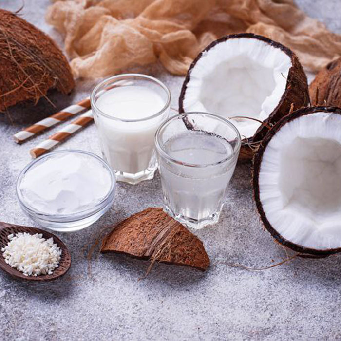 پودر نارگیل چرب سریلانکا